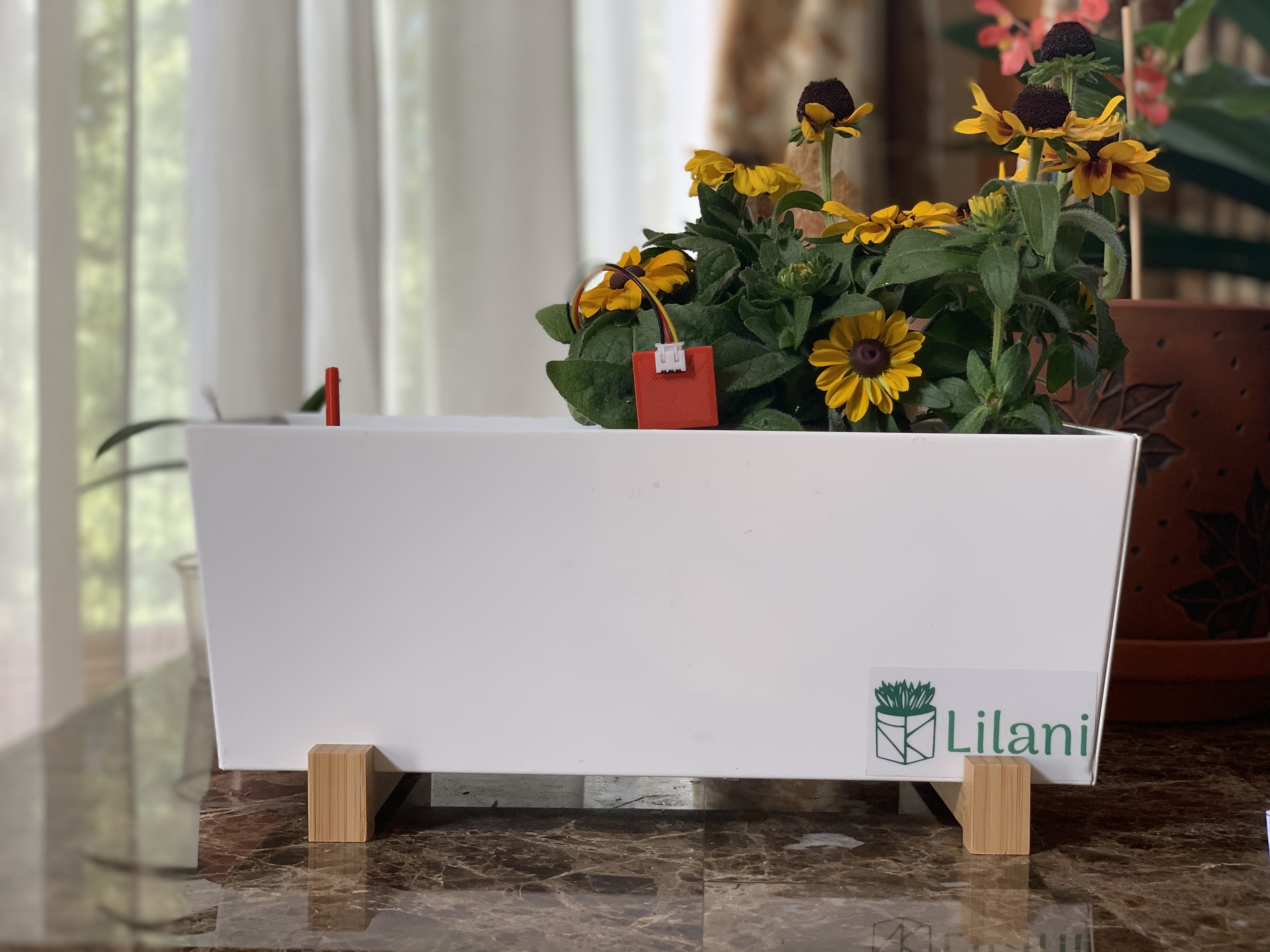 Picture of a Lilani Plant Pot