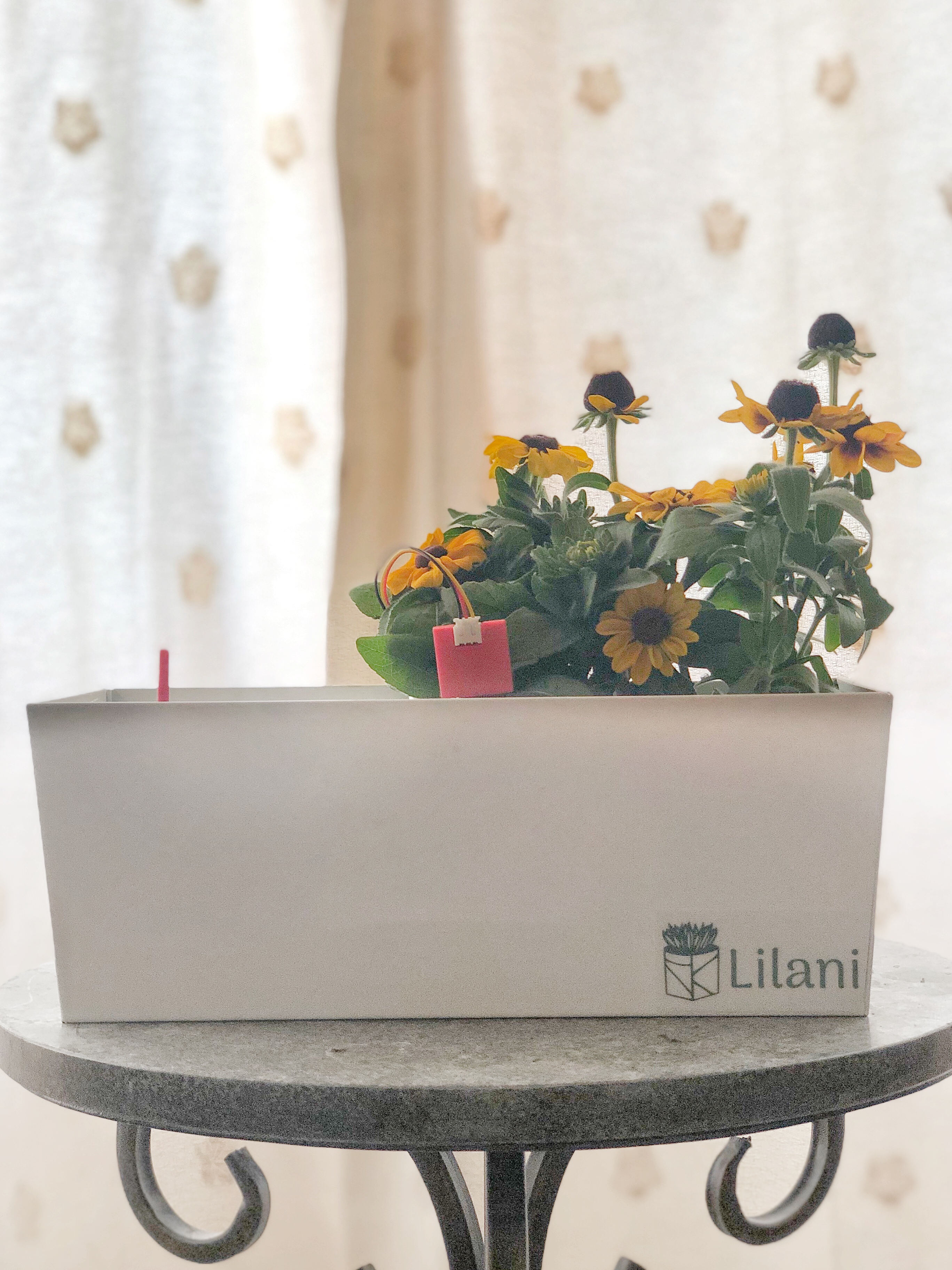 Picture of a Lilani Plant Pot in a bedroom