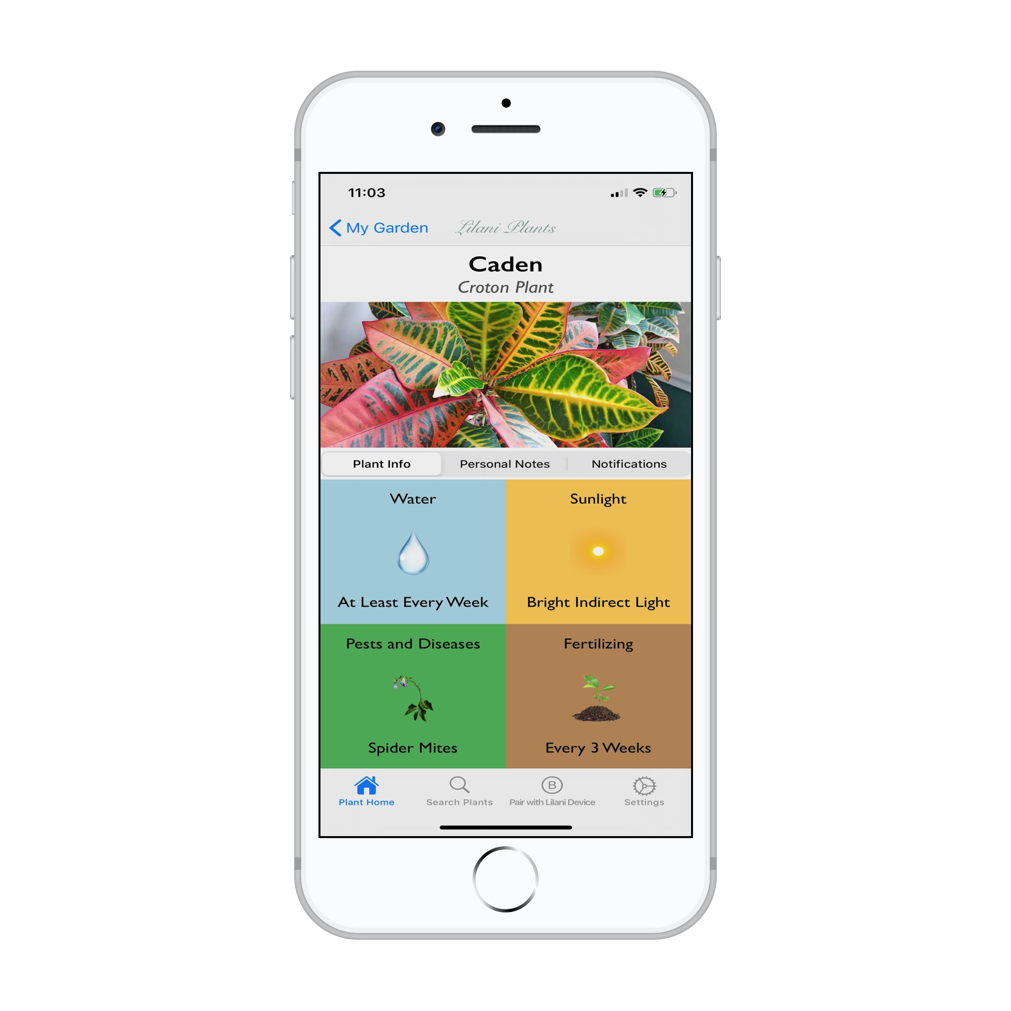 Picture of a Lilani Plant App with Houseplant Tips Features